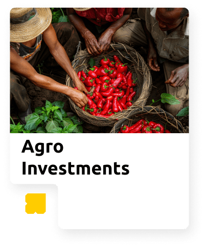Agro Investment